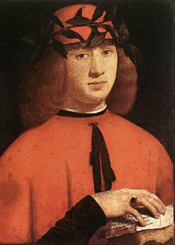 BOLTRAFFIO, Giovanni Antonio Portrait of Gerolamo Casio oil painting image